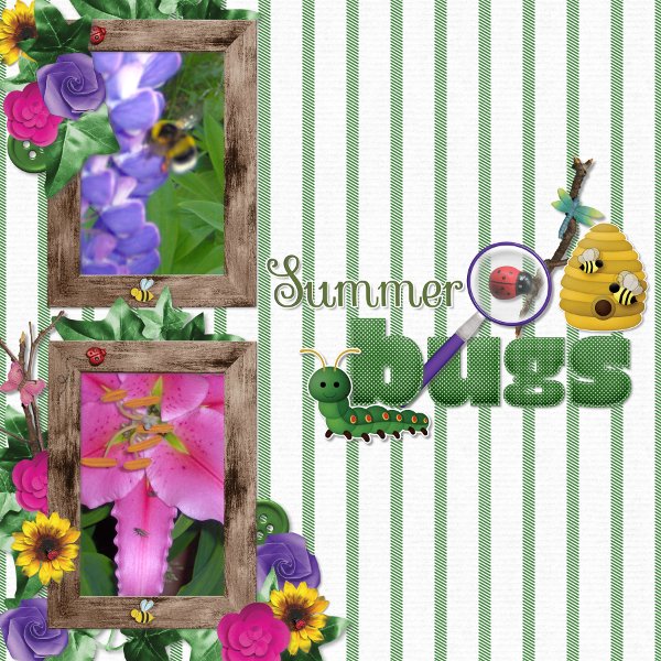 Summer bugs