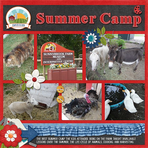 Summer Camp
