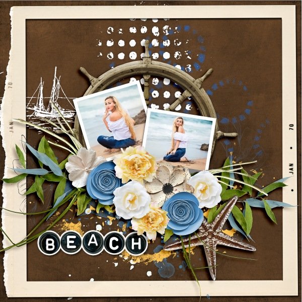 Summer,Coastline,Beach