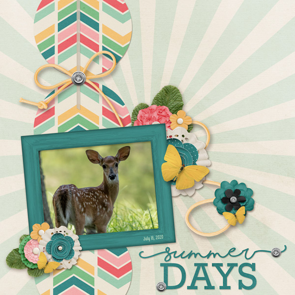 Summer Deer