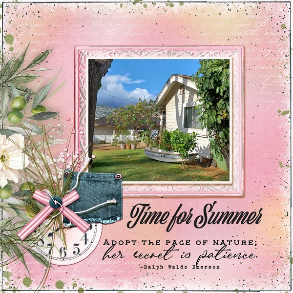 Summer Dreams
