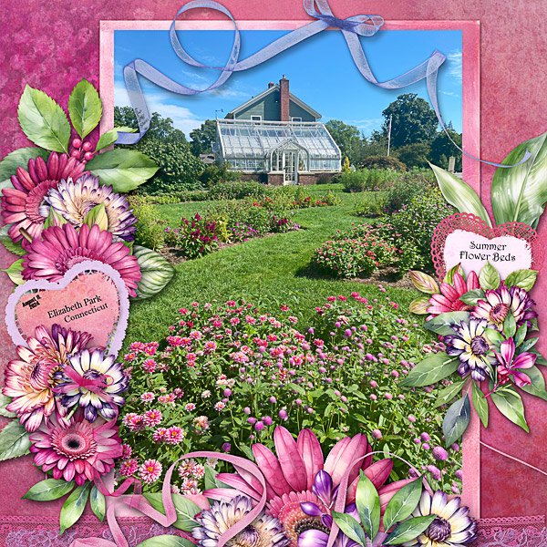 Summer Flower Beds