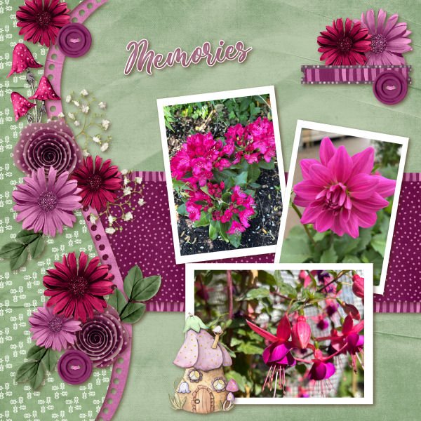 Summer Flower Memories