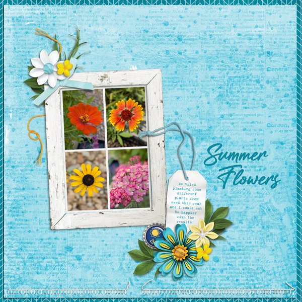 Summer Flowers - 2025