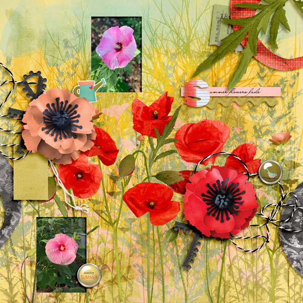 Summer Flowers Fade