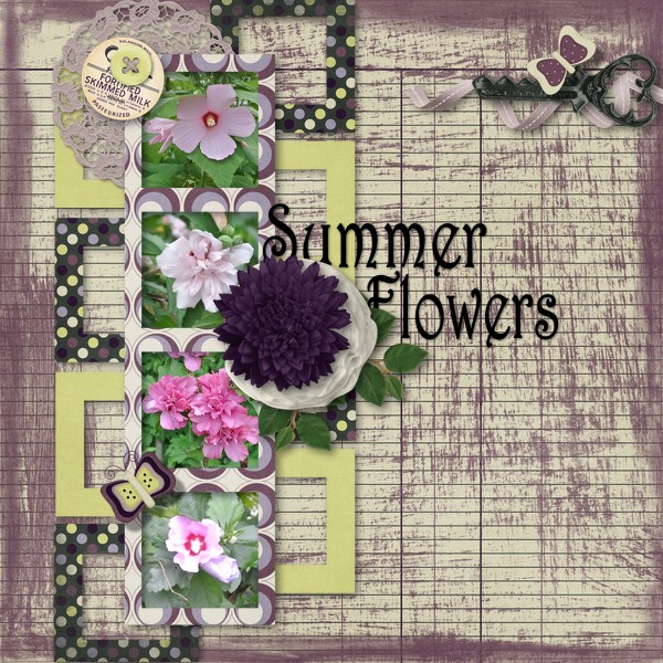 Summer Flowers