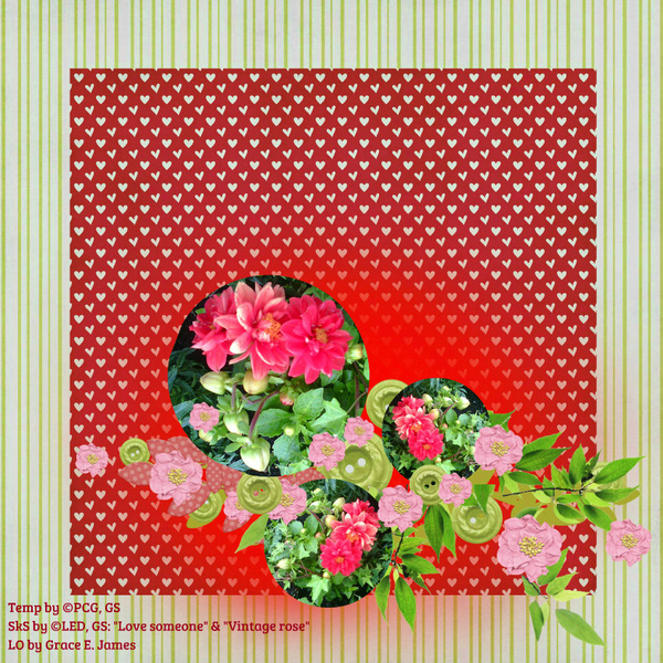 Summer flowers