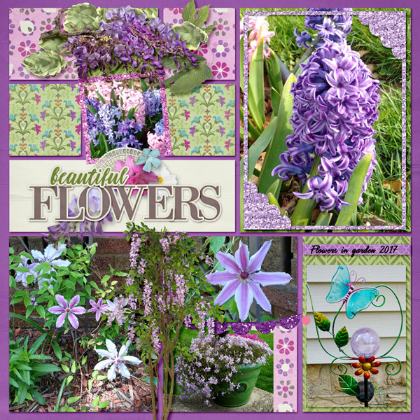 Summer Flowers