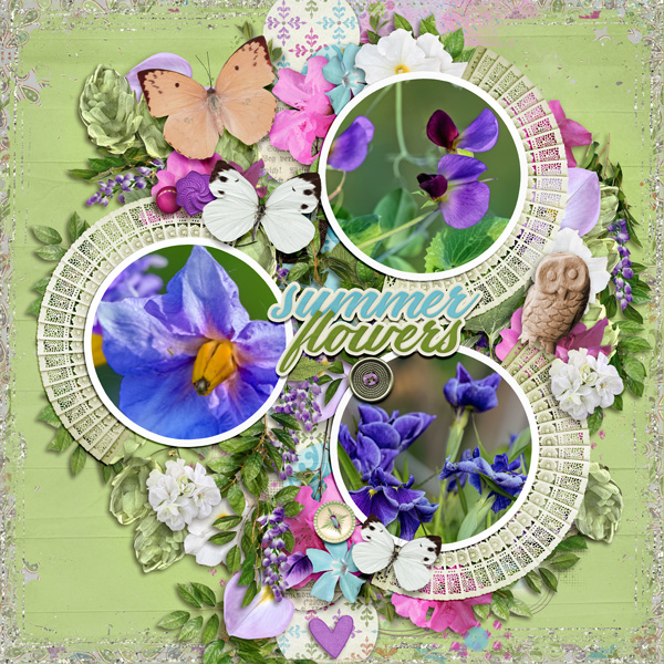 Summer Flowers