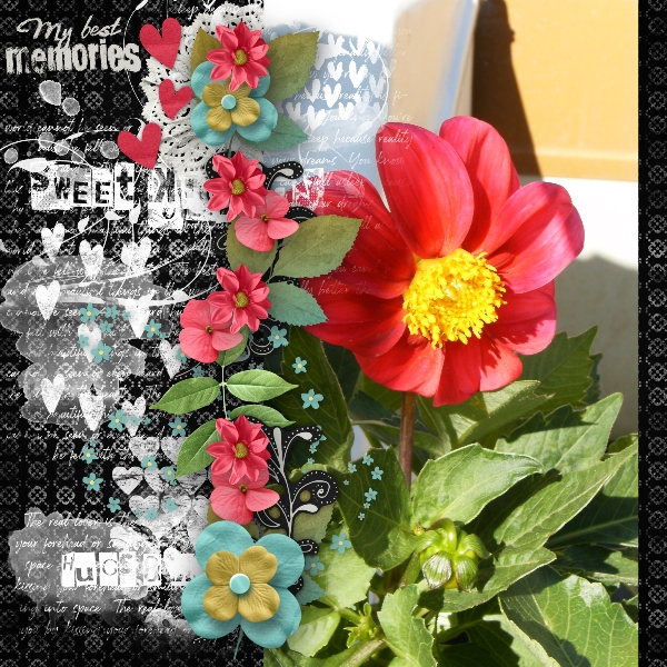 Summer flowers