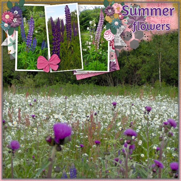 Summer flowers