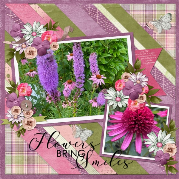 Summer Flowers