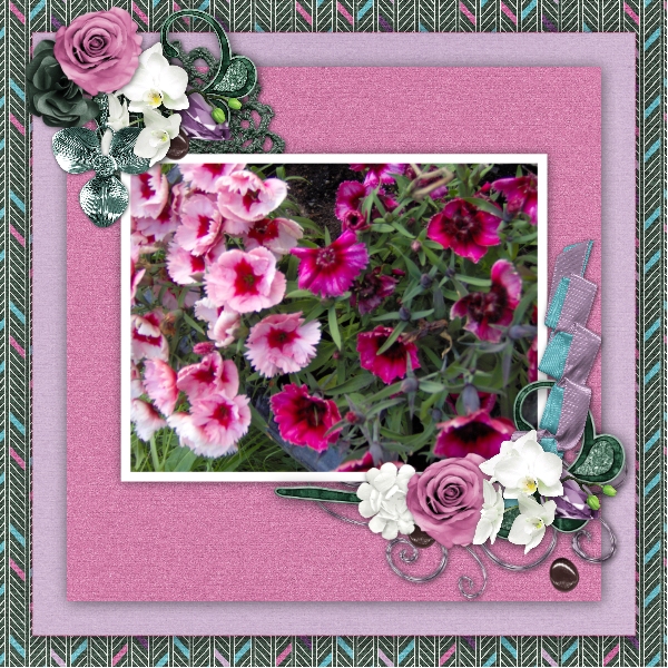 Summer flowers