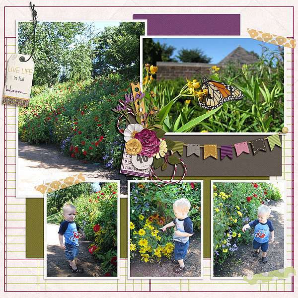 Summer Flowers