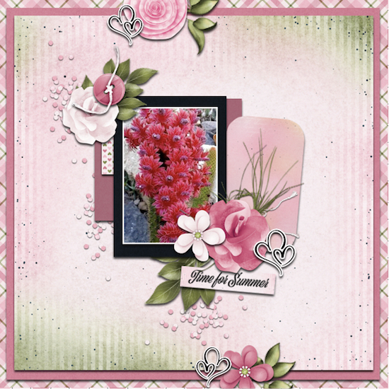 Summer Flowers