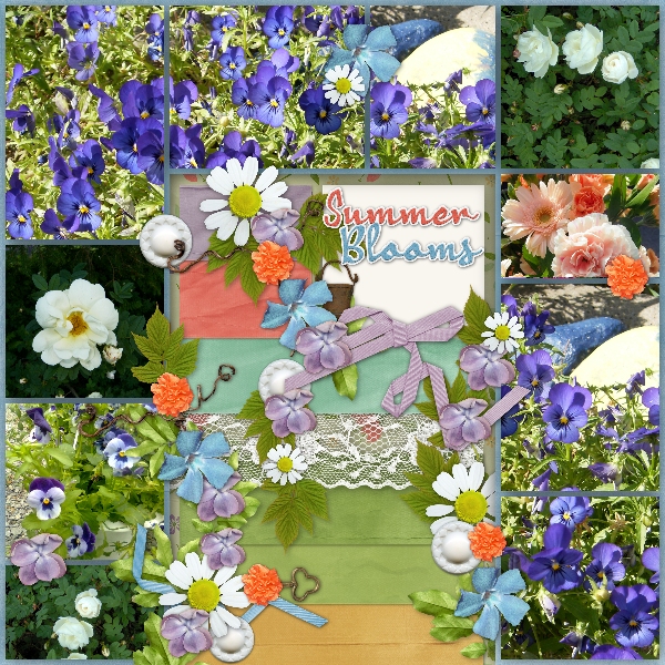 Summer flowers