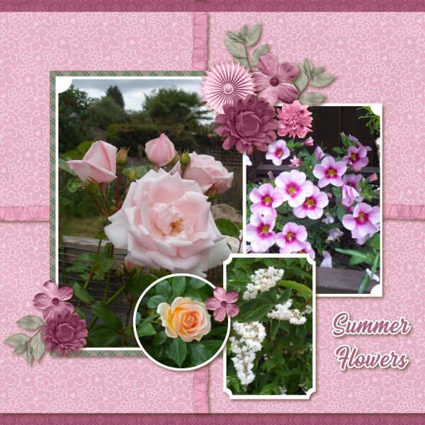 Summer Flowers