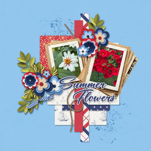 Summer Flowers