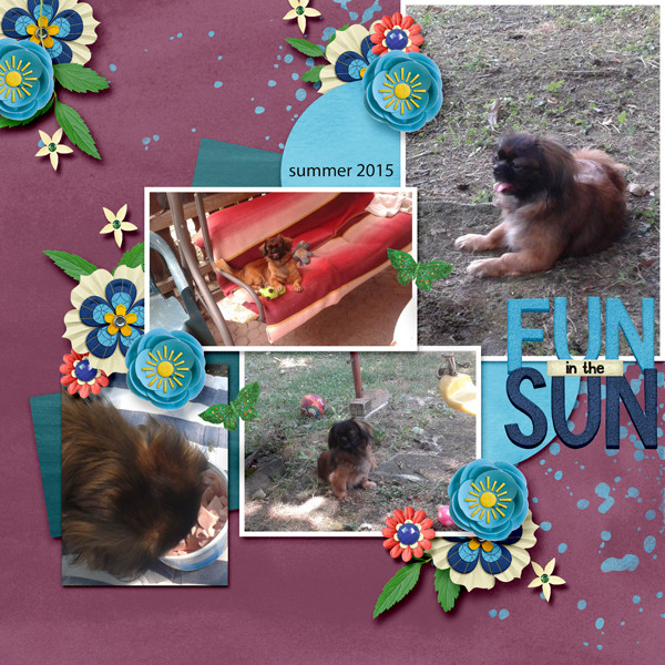 Summer fun in the sun