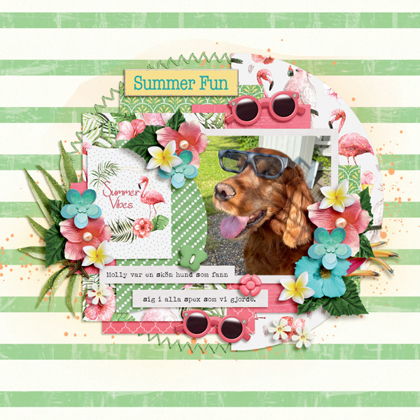 Summer Fun