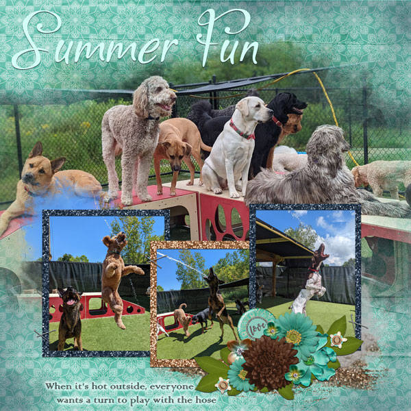 Summer Fun