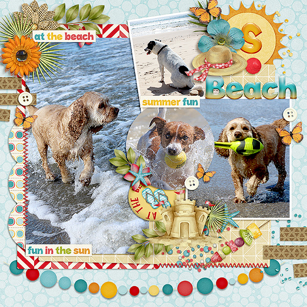 Summer Fun
