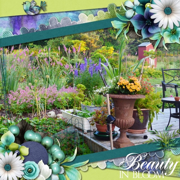 Summer Garden