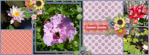 Summer Garden