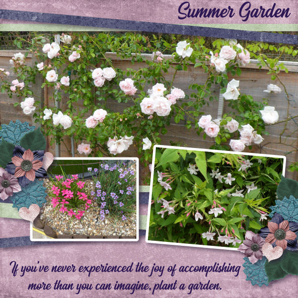 Summer Garden