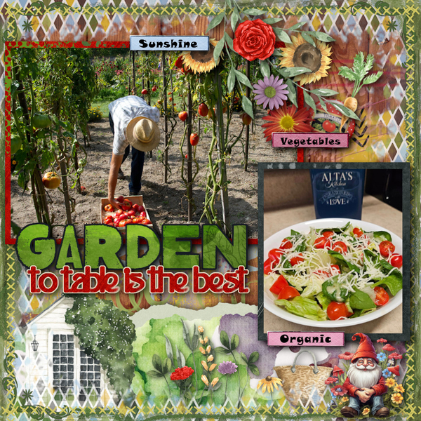 Summer Garden