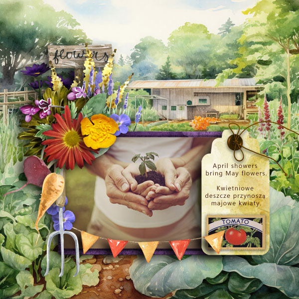 Summer Garden