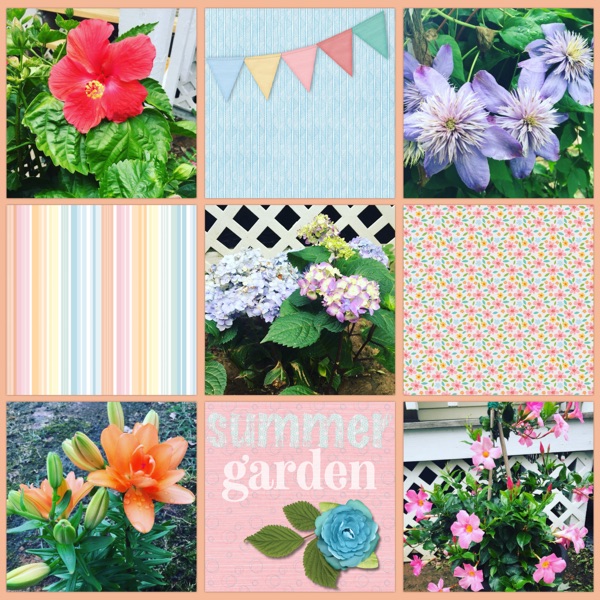 Summer Garden