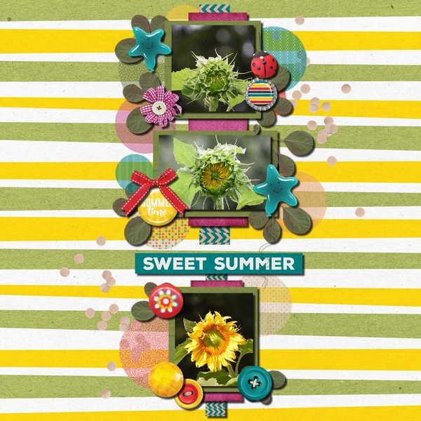 Summer Grow