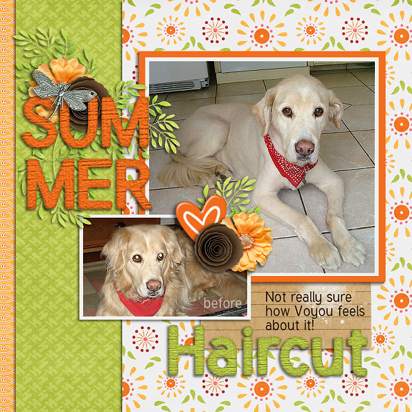 Summer Hair Cut