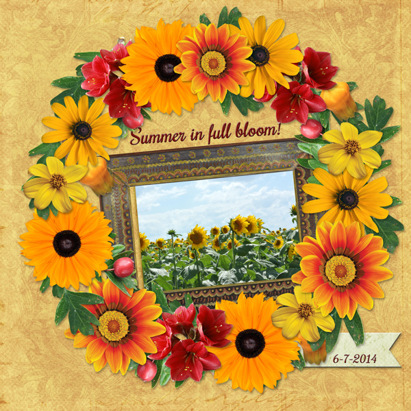 Summer in Full Bloom