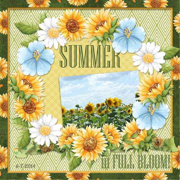 SUMMER in FULL BLOOM!