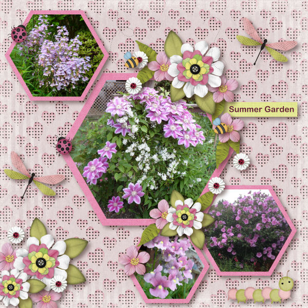 Summer in our Garden