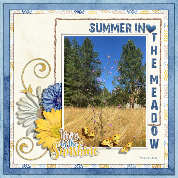 SUMMER IN THE MEADOW
