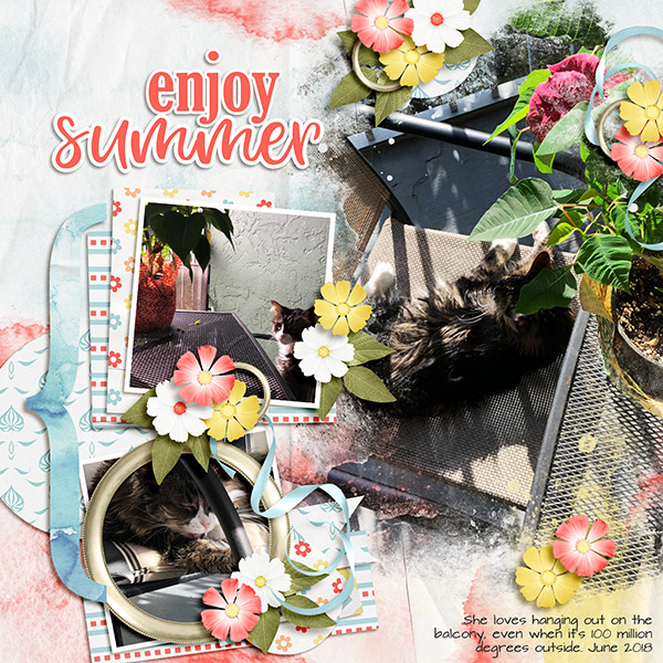 Summer Kitty