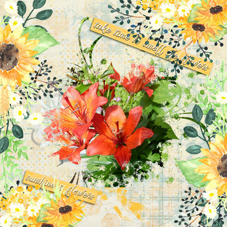 Summer-lilies