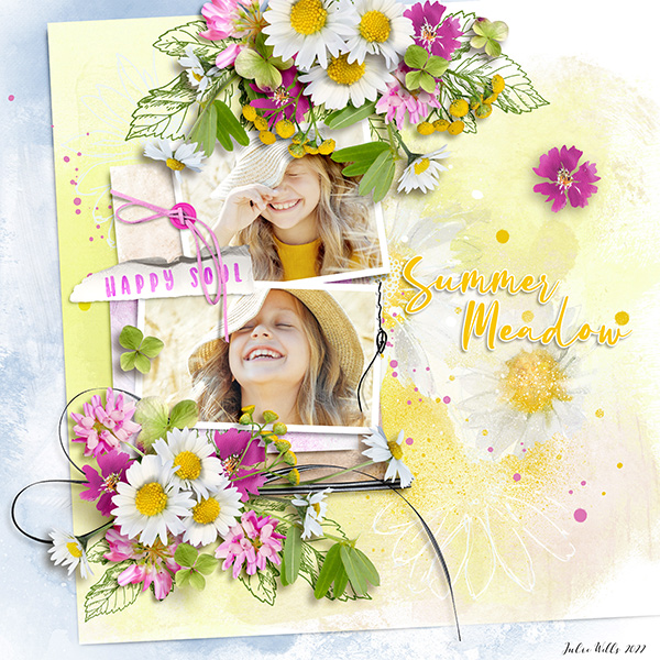 summer meadow