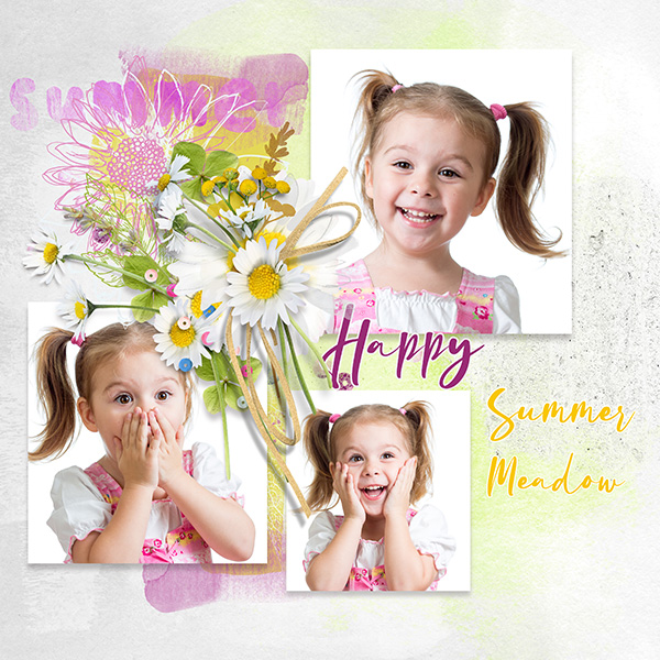 Summer Meadow