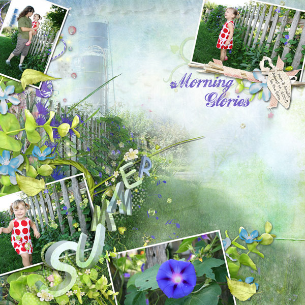 Summer Morning Glories