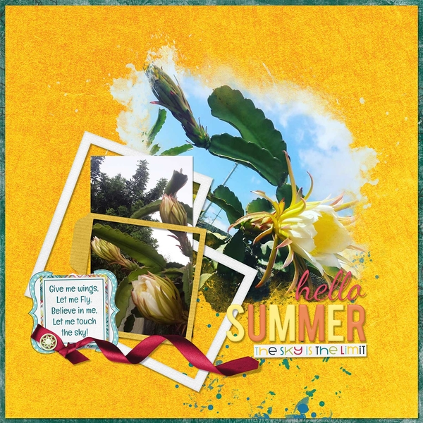 Summer Night Bloomers