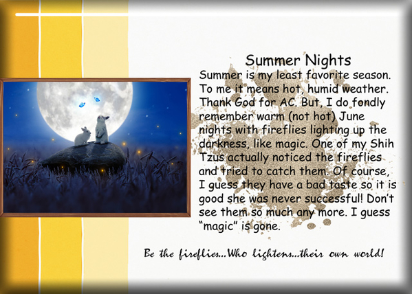 Summer Nights