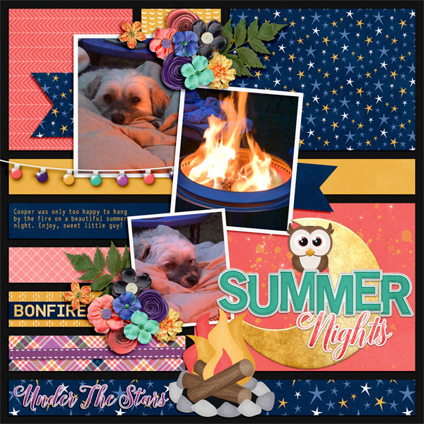 Summer Nights