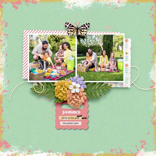 summer-picnic-jconlon-June2
