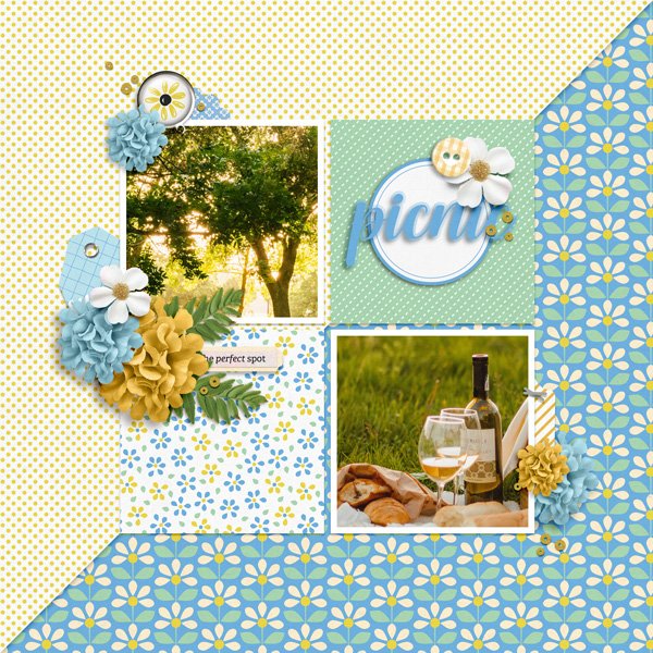 Summer-Picnic.jpg