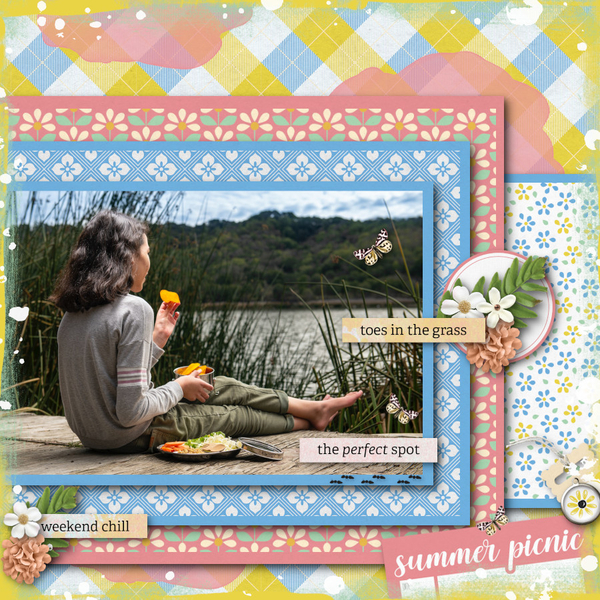Summer Picnic