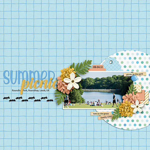Summer Picnic